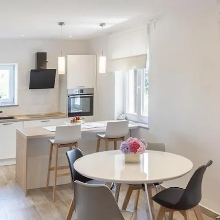 Roma - With Terrace Apartment Valbandon